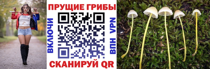 Псилоцибиновые грибы Magic Shrooms Власиха